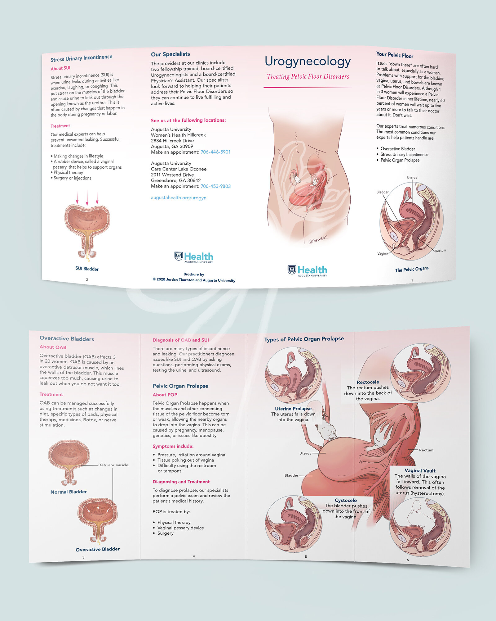   Medium:  Graphite, Photoshop, InDesign   Objective:  The goal of this design was to create an educational brochure that the audience finds reassuring, empowering, and easy to understand. The brochure primarily targets women over 40 from all socioec