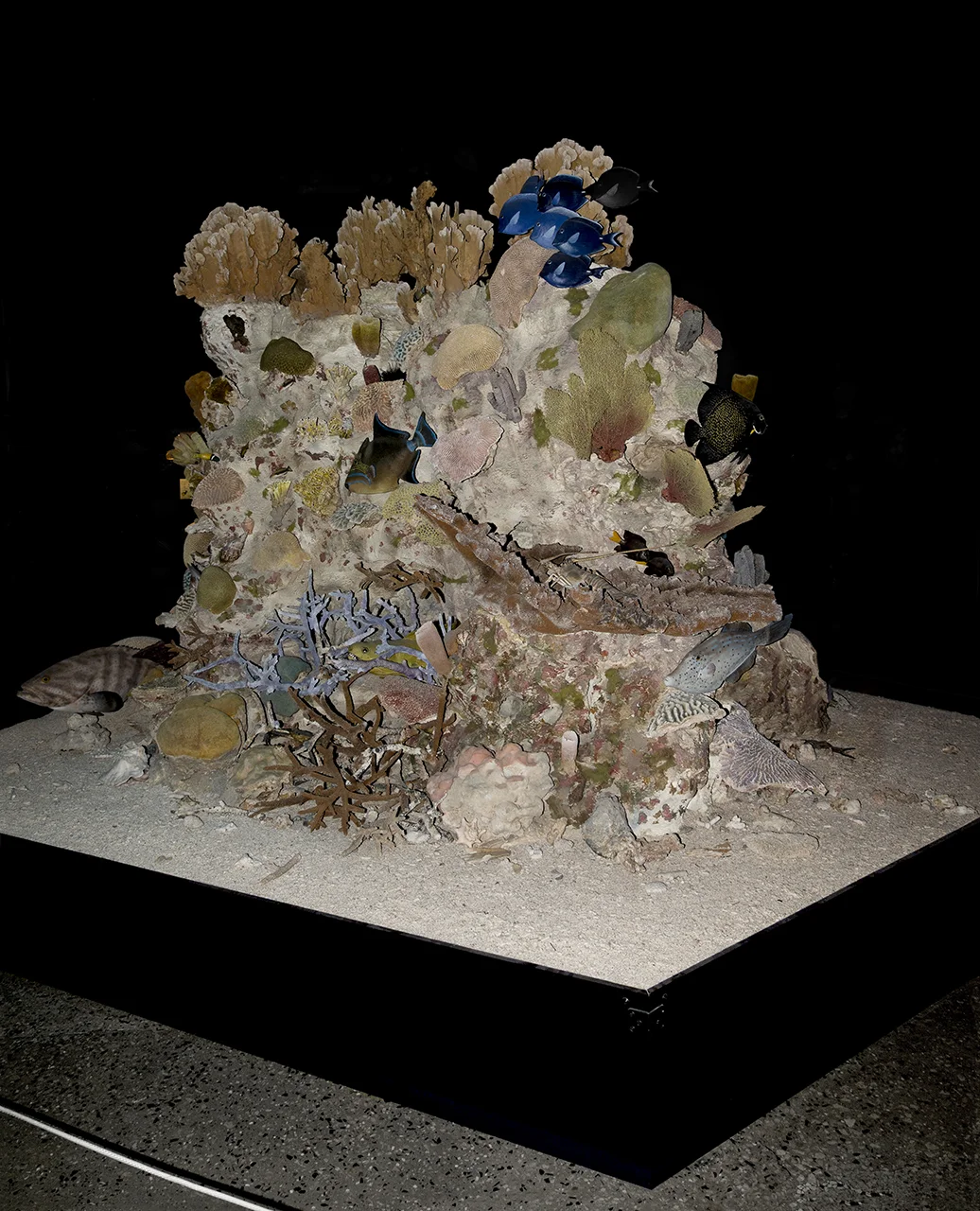 TalBarel_Untitled14.jpg