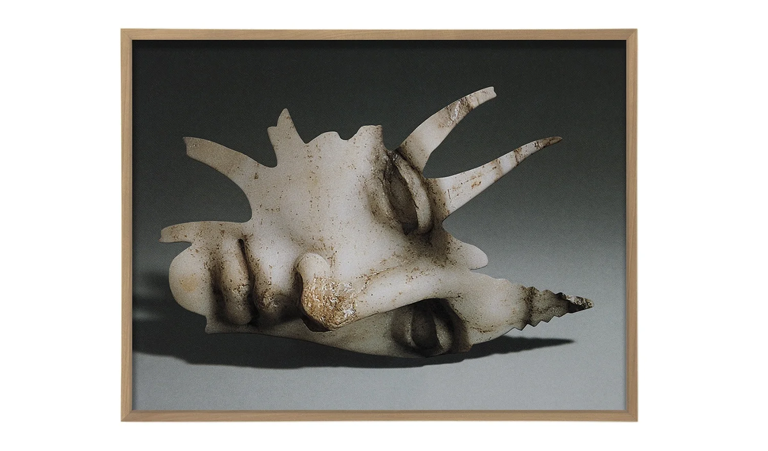 Frame14_Cropped_Web.jpg