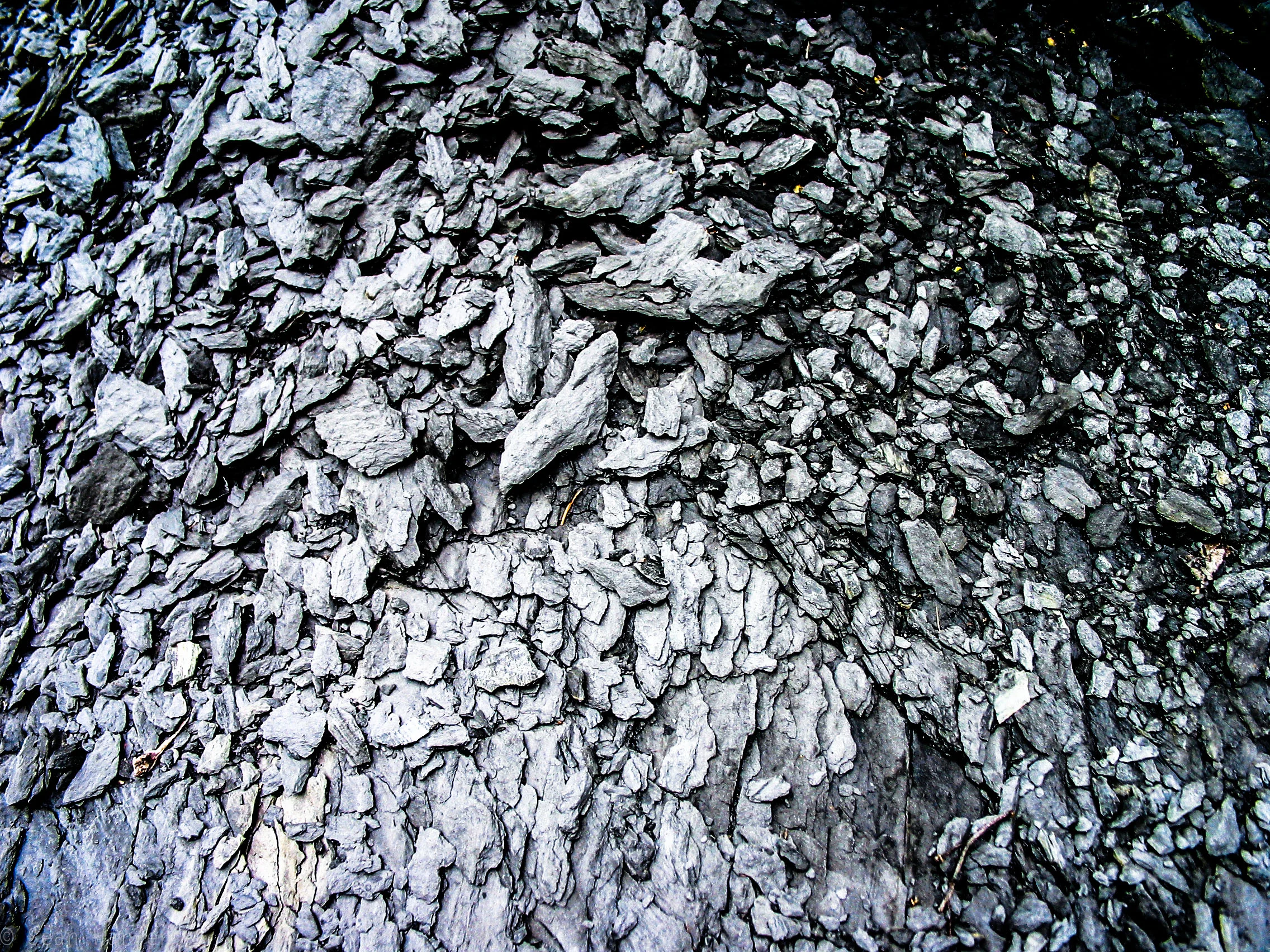2010 Consolidation-42.jpg