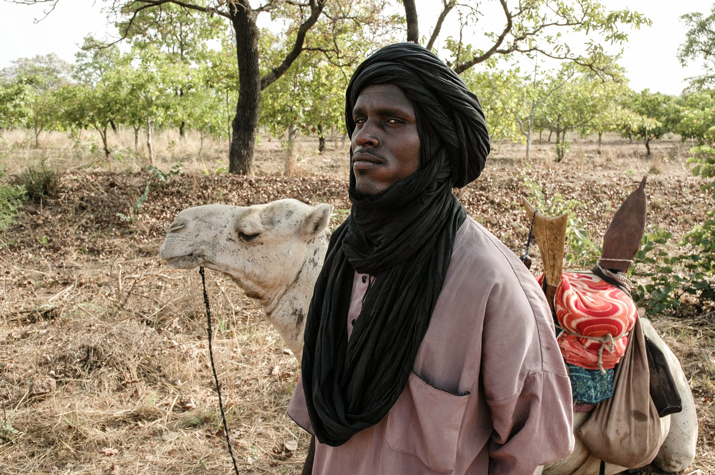 african_-5.jpg