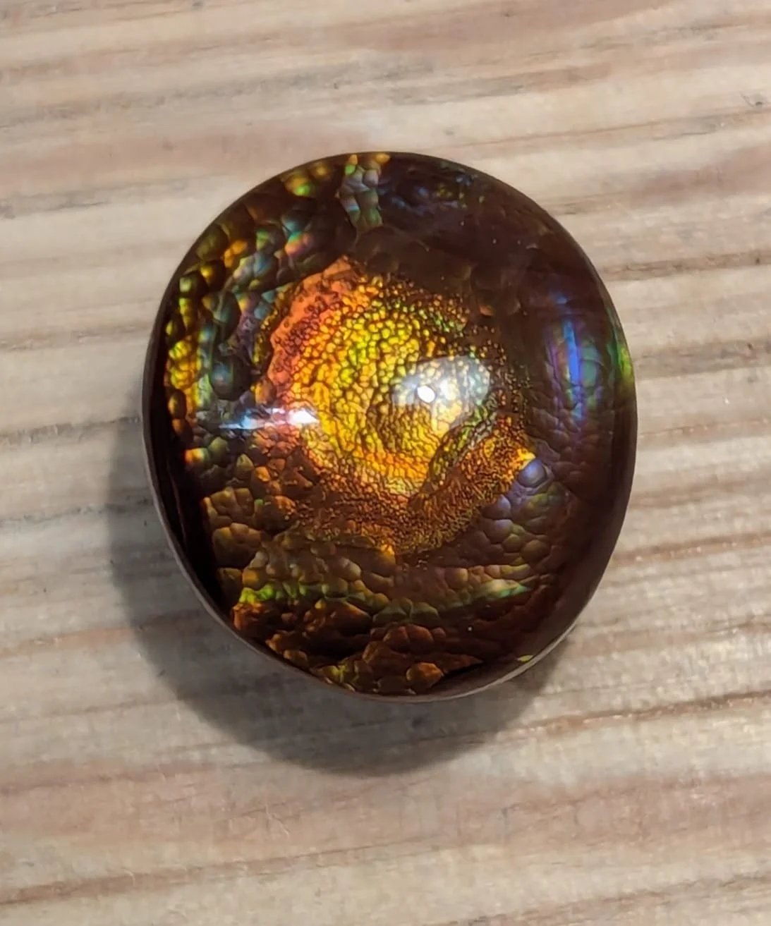 WhatsApp Image 2024-05-03 at 11.47.50 PM.jpeg