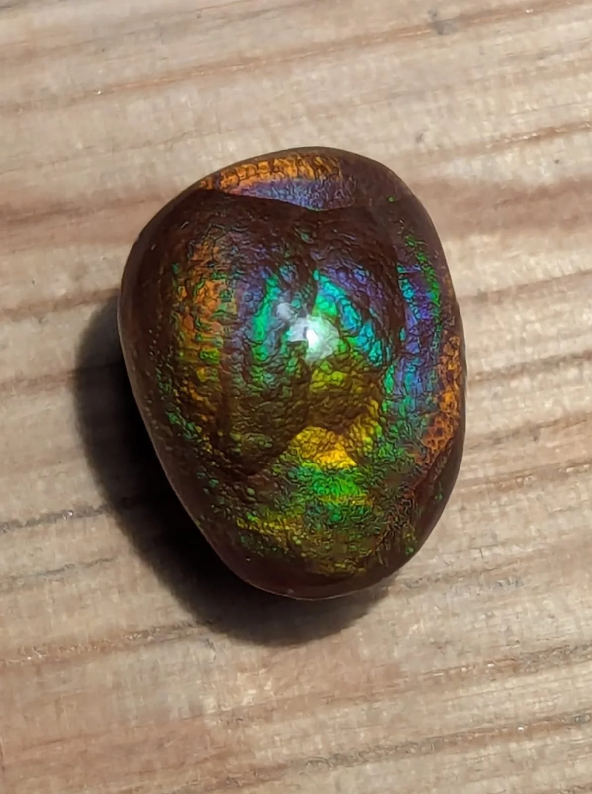 WhatsApp Image 2024-05-03 at 11.48.04 PM.jpeg