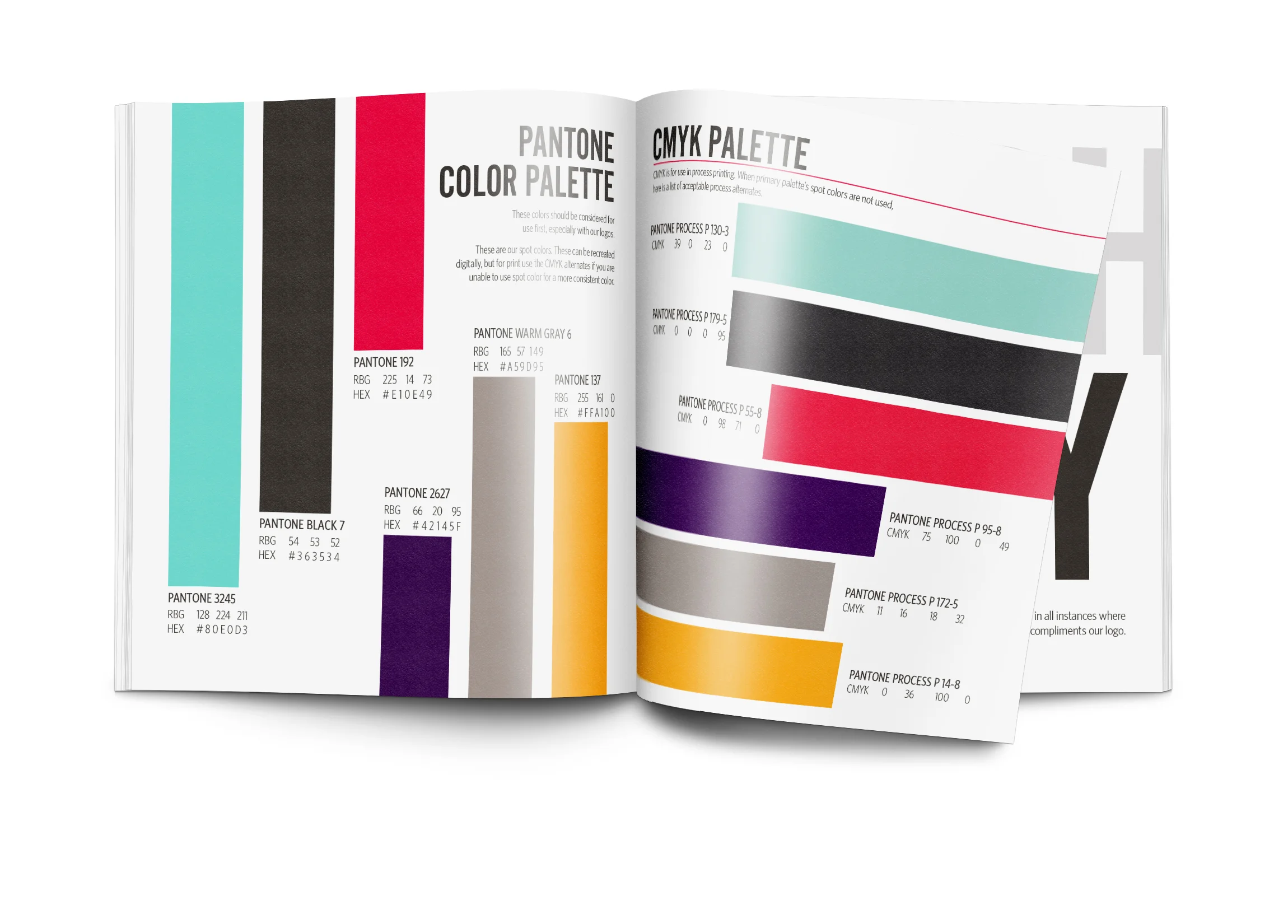 brand guidelines MockUp.jpg