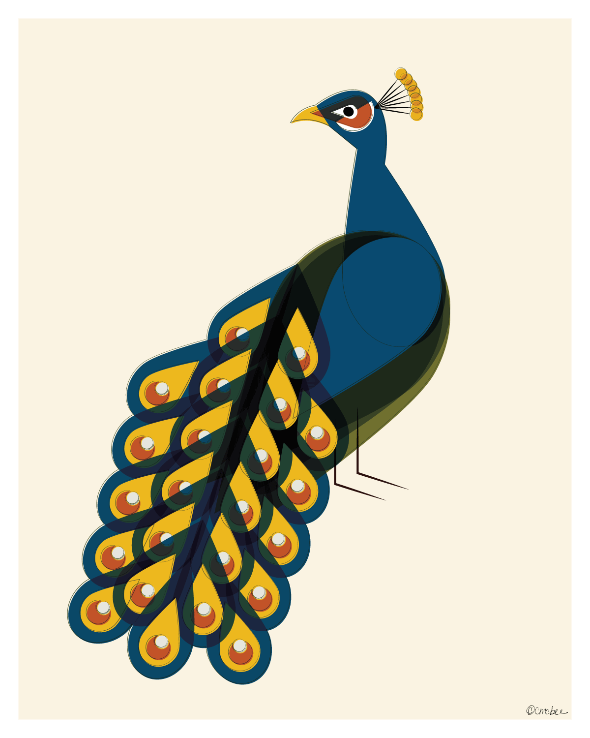 Peacock.gif