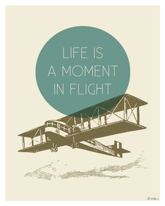 lifeisamomentinflight_fall.png