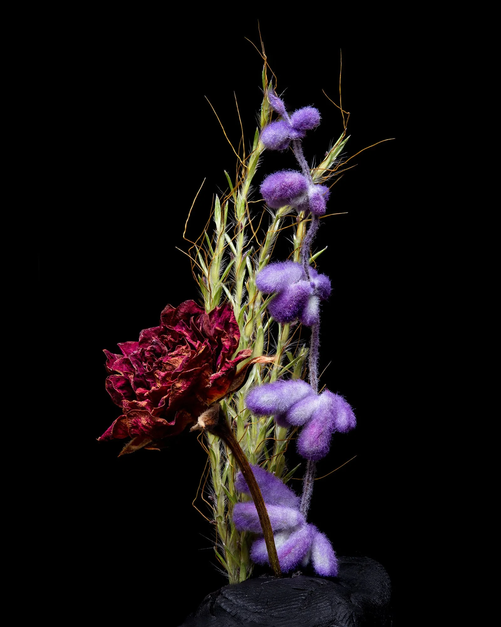 flower-1web.jpg