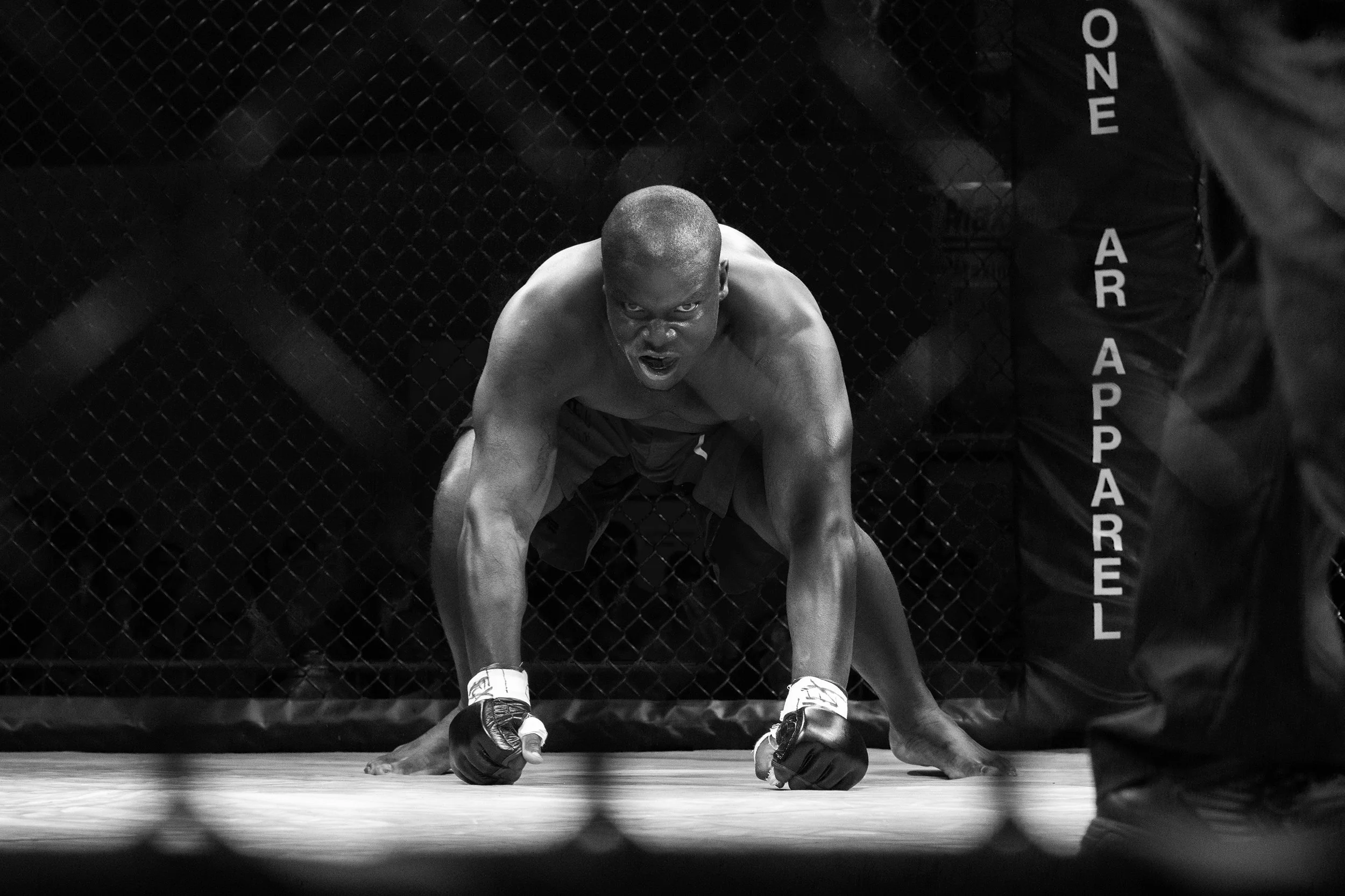 boxing_mma_fightnight_14.jpg