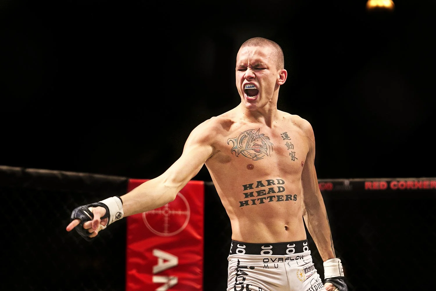 boxing_mma_fightnight_28.jpg