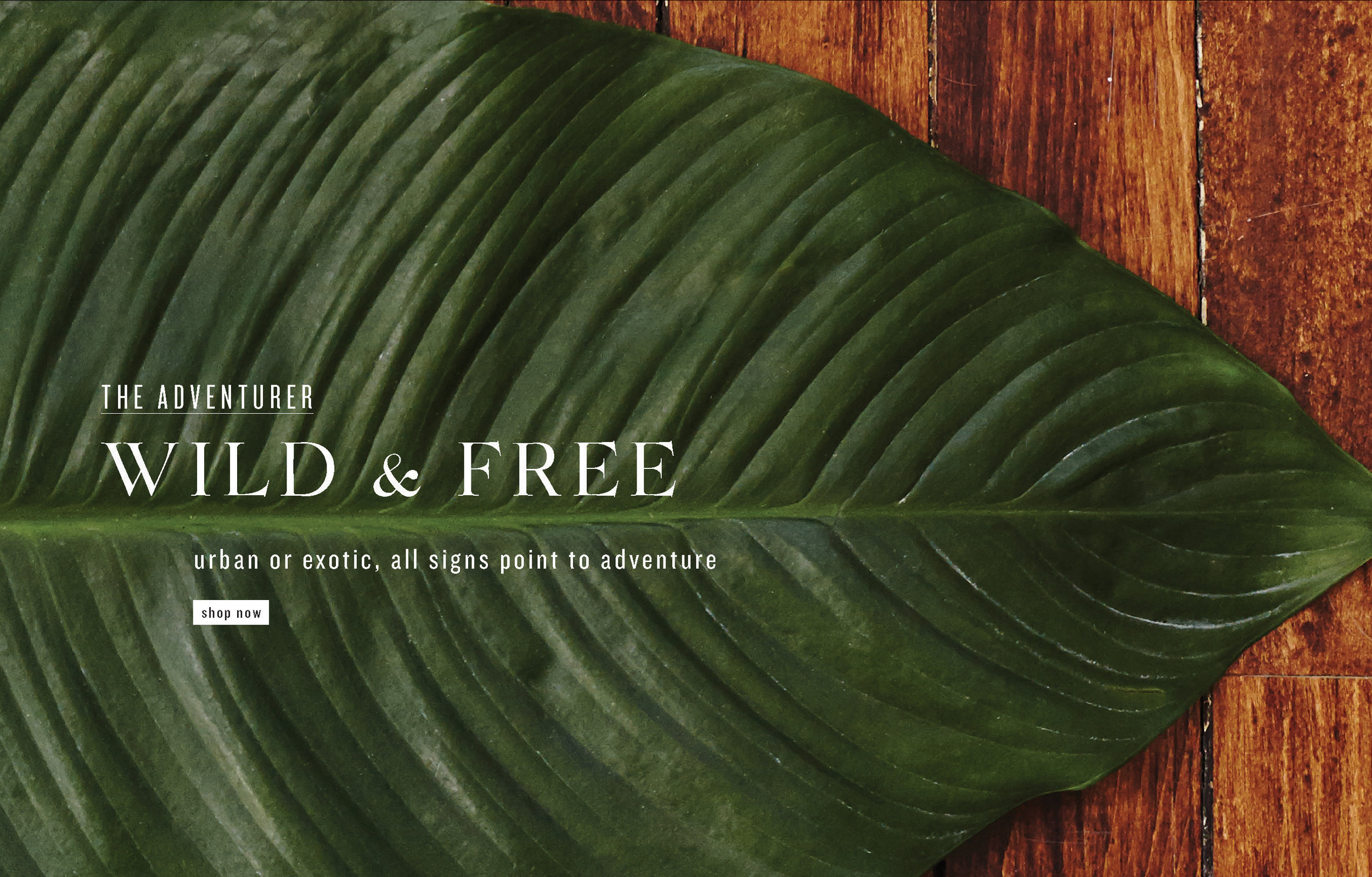 ACCOMPANY_BANNER_02.jpg