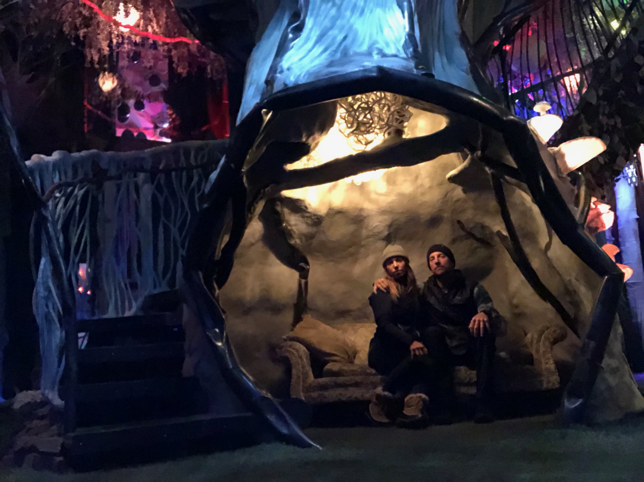 Meow Wolf