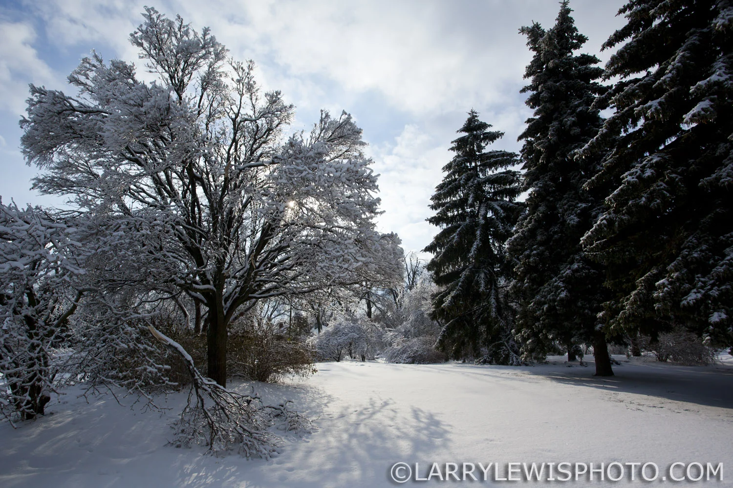 Birchmount_icestorm.jpg