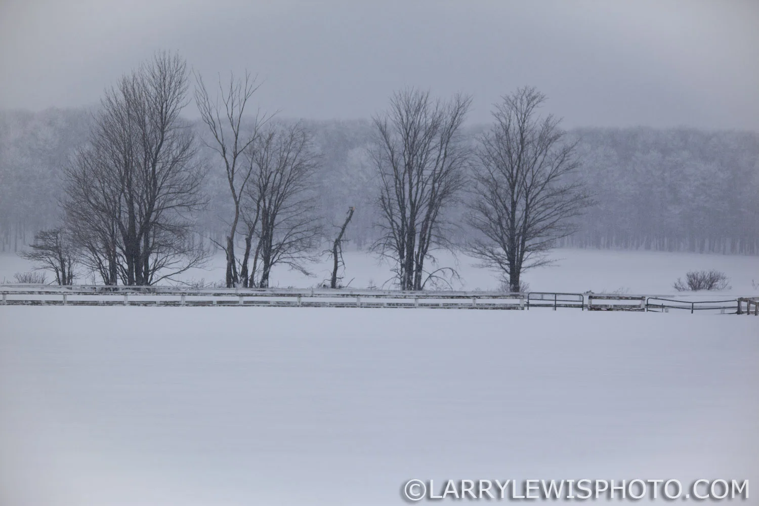 WinterScene.jpg