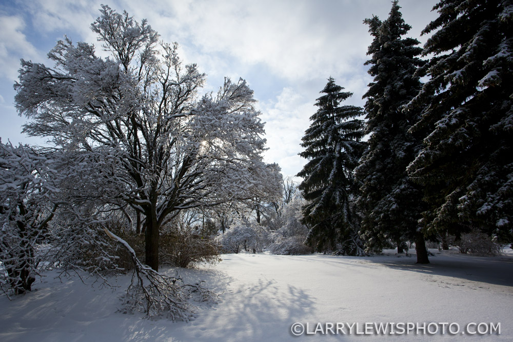 BirchmountPark1.jpg