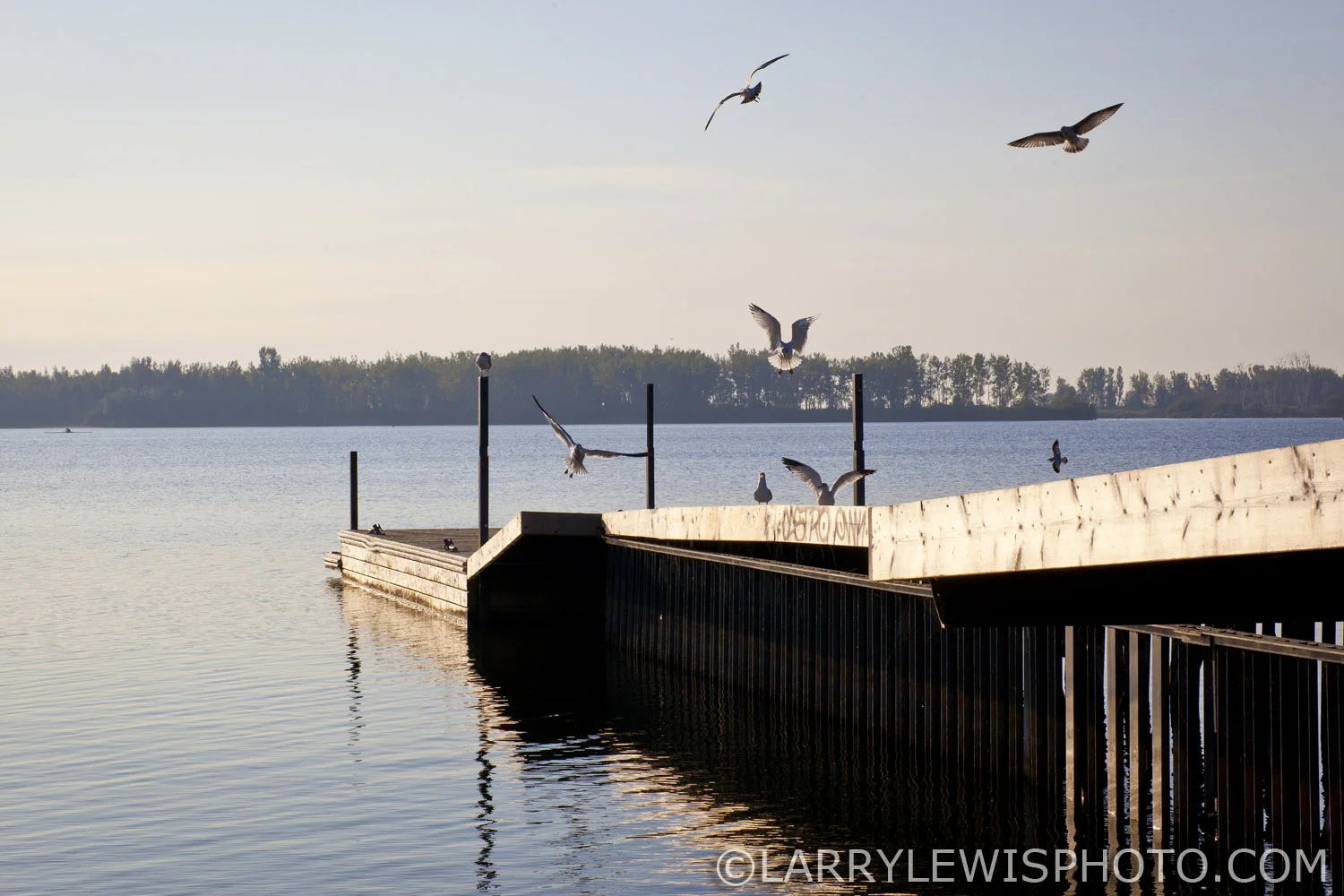 The_Dock-wm.jpg
