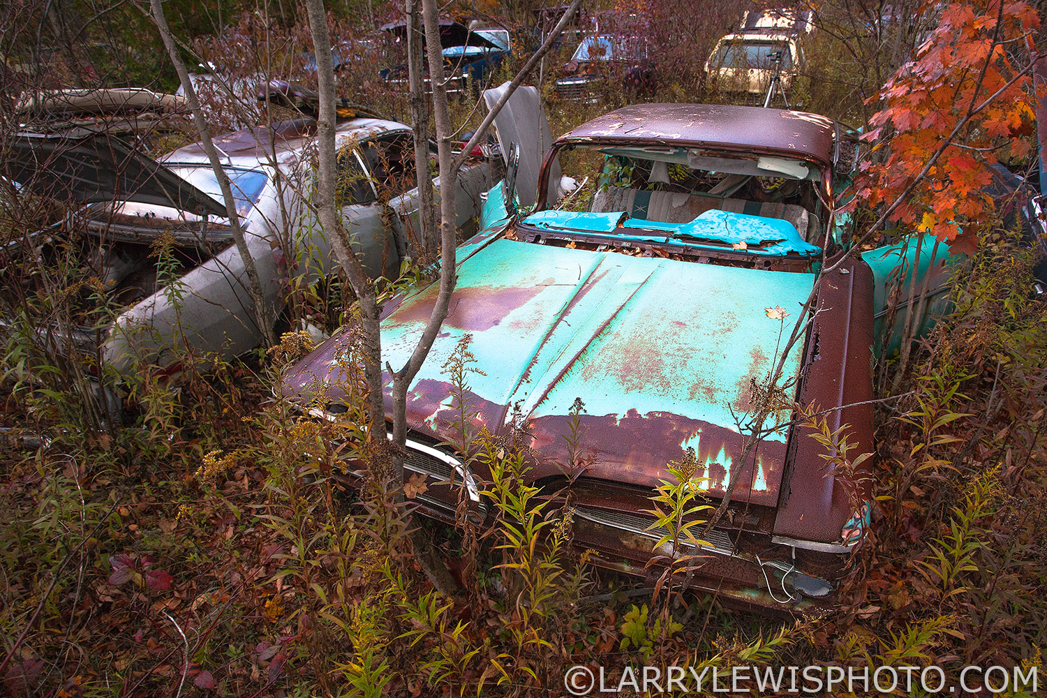 McLeans021.jpg