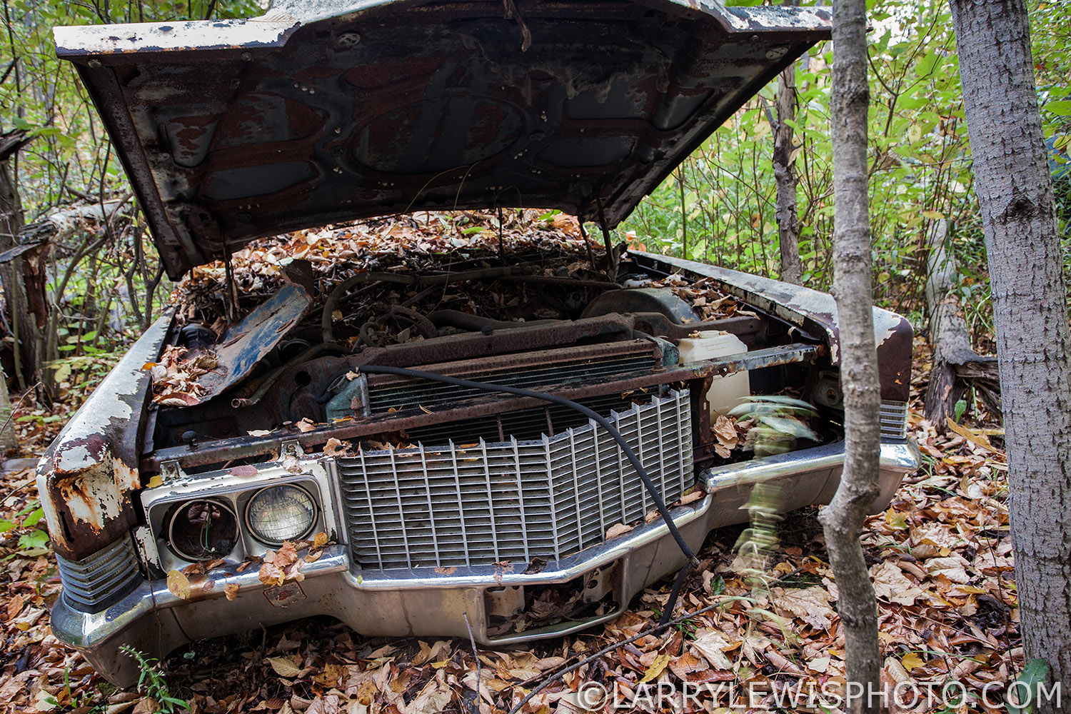McLeans022.jpg
