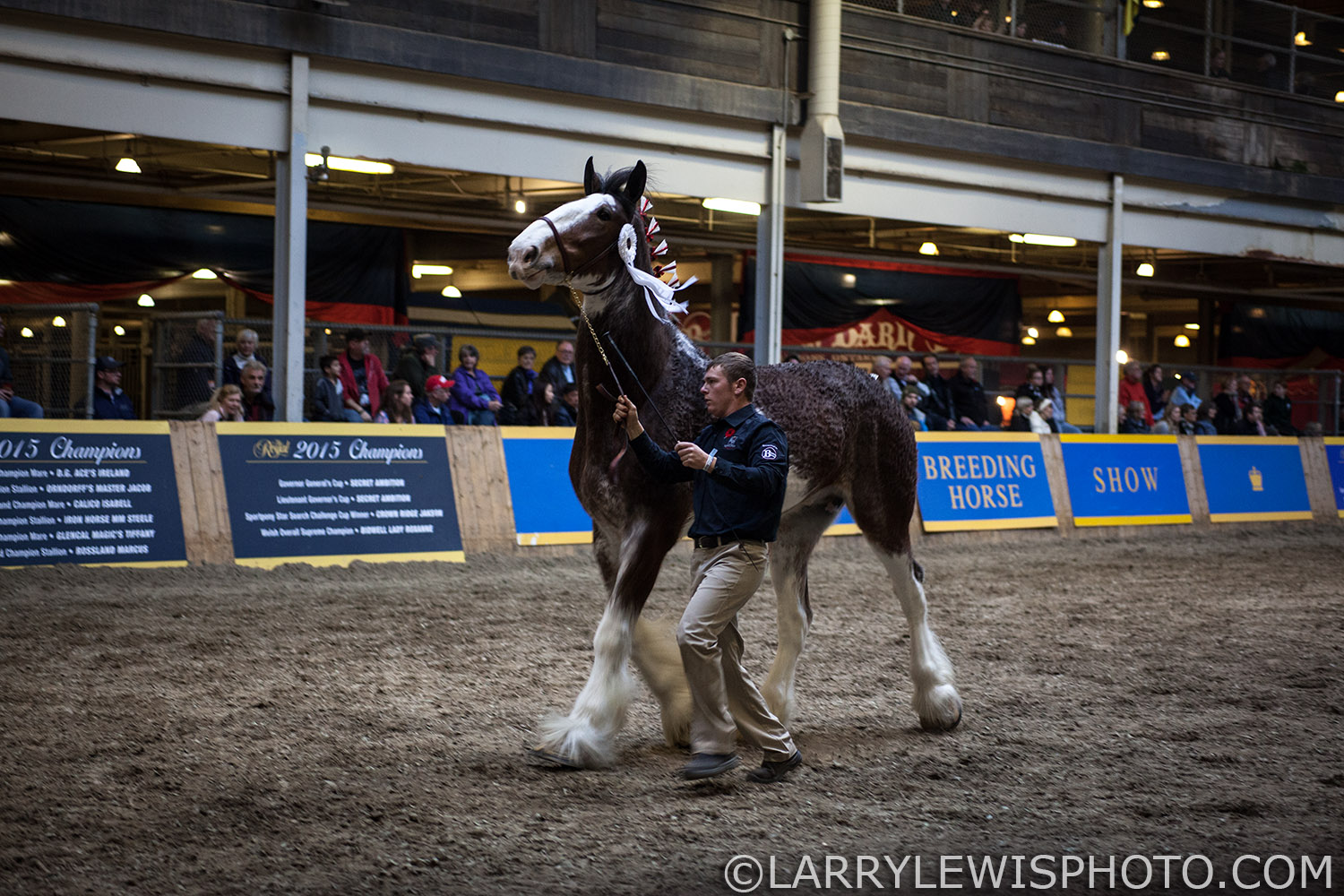 RoyalWinterFair013.jpg