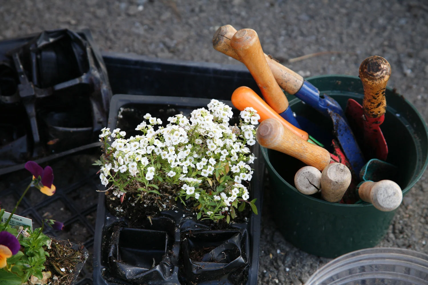 Gardening 2.jpg