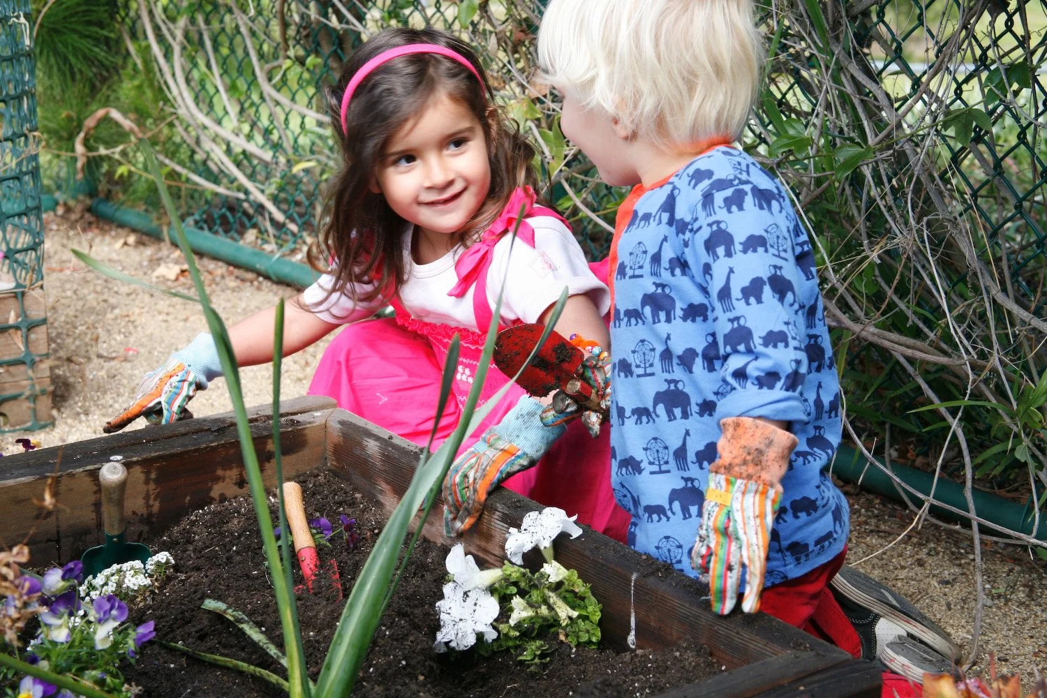 Montessori Children's Center