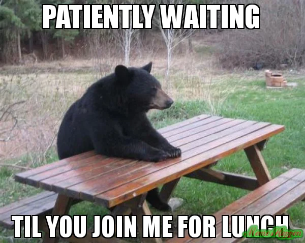 Patiently-waiting-til-you-join-me-for-lunchfrlss.jpg