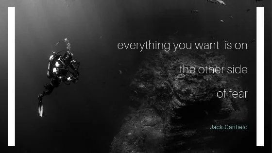 everything you want, is on the other side of fear.jpg