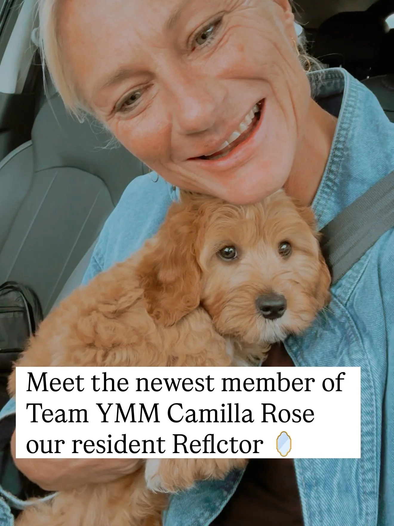 Camilla spam.

3 days in and I&rsquo;m smitten with this little Reflector doggy, my new brand ambassador 🐶

#doggydesign