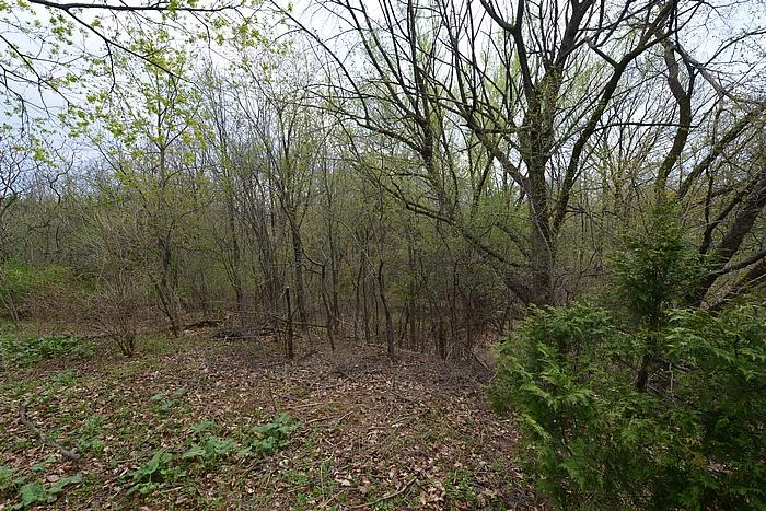ravine_700.jpg