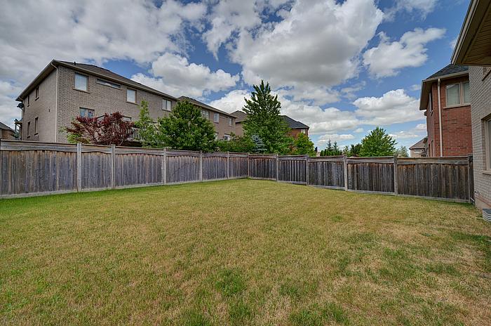 backyard1_700.jpg
