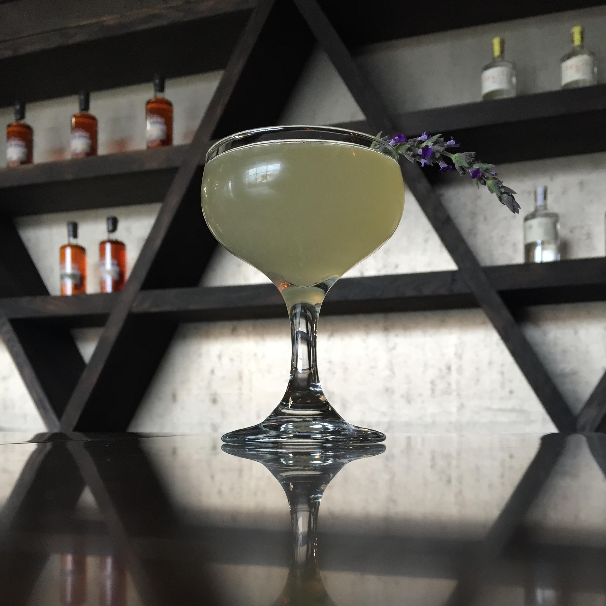 Image of cocktail
