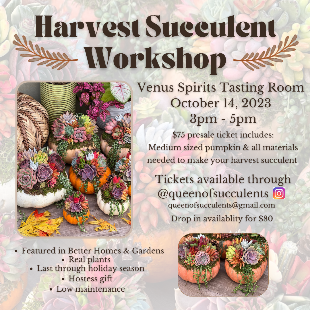 Harvest Succulent Workshop
