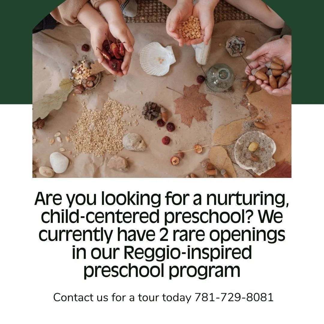 We rarely have spots open up in the summer, but two spaces have become available for the 25/26 school year (for ages 3-4). If you've been looking for a nurturing, child-led environment where curiosity and connection guide the day- this could be the p