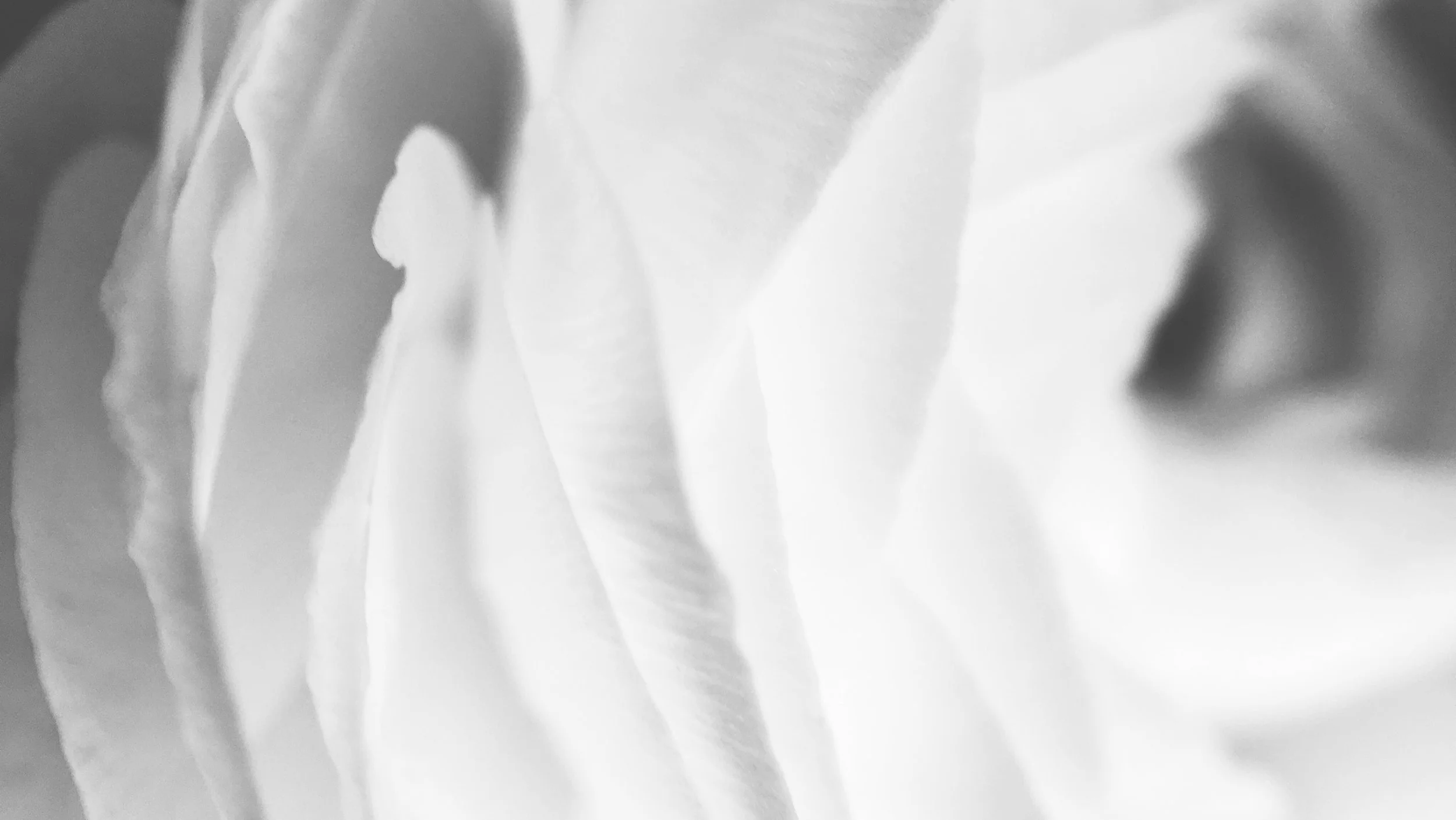 How To Find Perfection Without Perfectionism