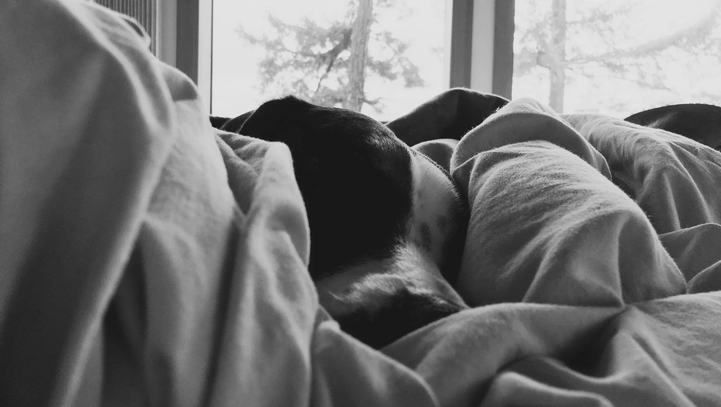 My Biggest Productivity Fail Ever — and How It Led to a Book Deal