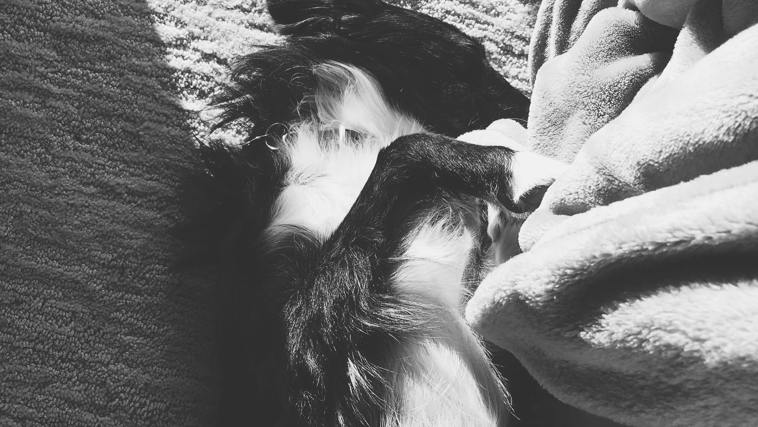 You Snooze, You Win!