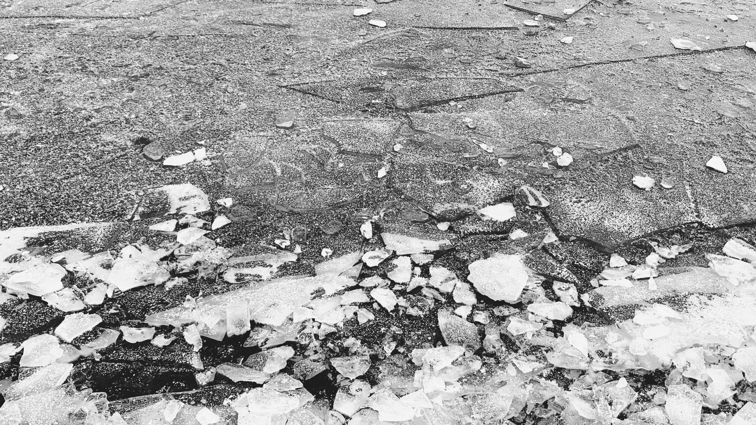 The Only Problem On Earth