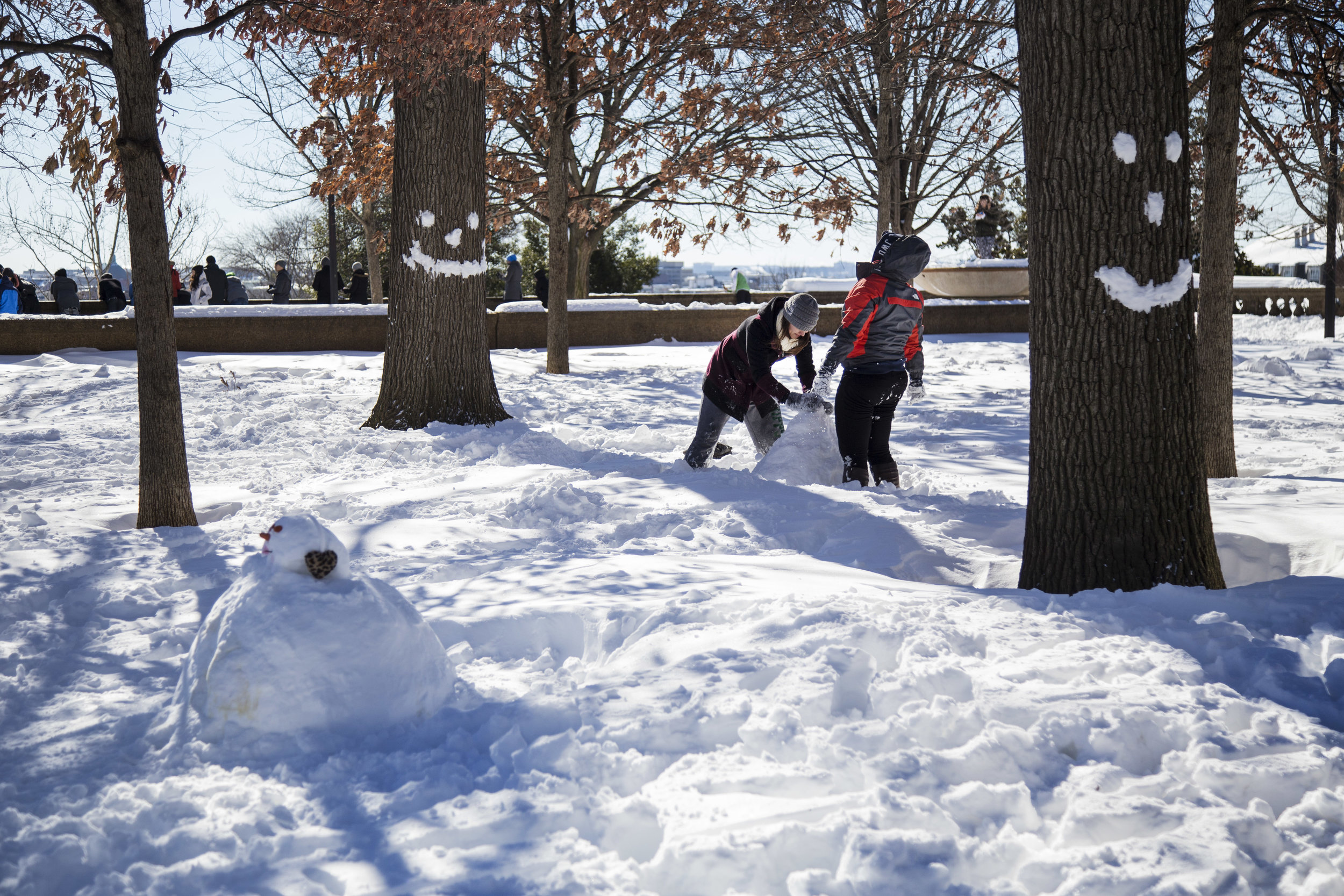  WASHINGTON, D.C. Snowpocalypse 2016 at Meridian Hill Park. 