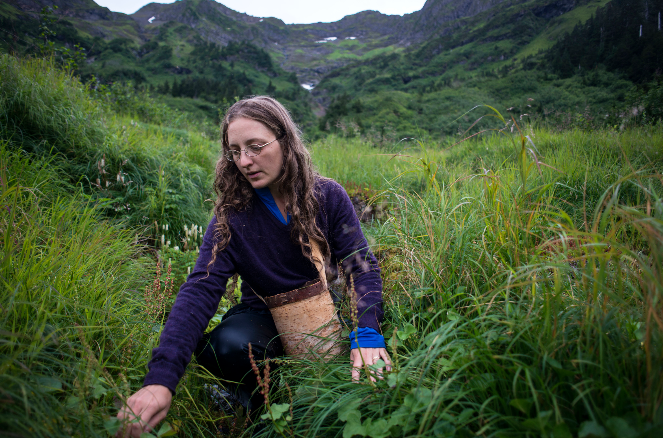 CORDOVA, AK. Meadow harvests sorrel in the mountains near her home. She lives a subsistence lifestyle, using only food she or her neighbors grow and harvest from the land around them to feed her family. 