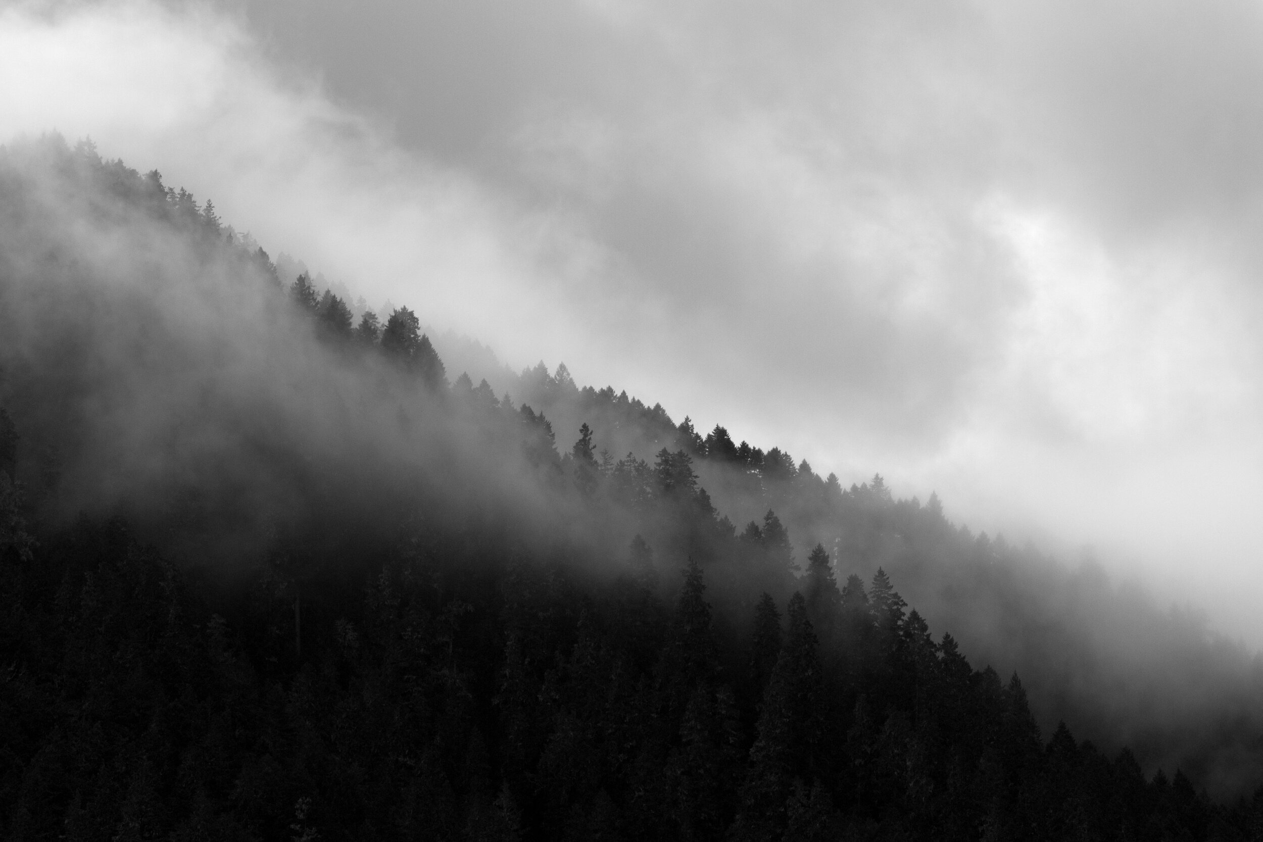  Post-fire season at the Deception Creek Mobile Park means inhabitants can likely erase the possibility of evacuation from their minds until next fire season. It also means the approach of winter, and a slow in the temporary economic boom of the summ