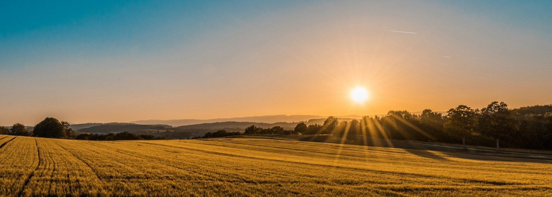 sunrise.jpg