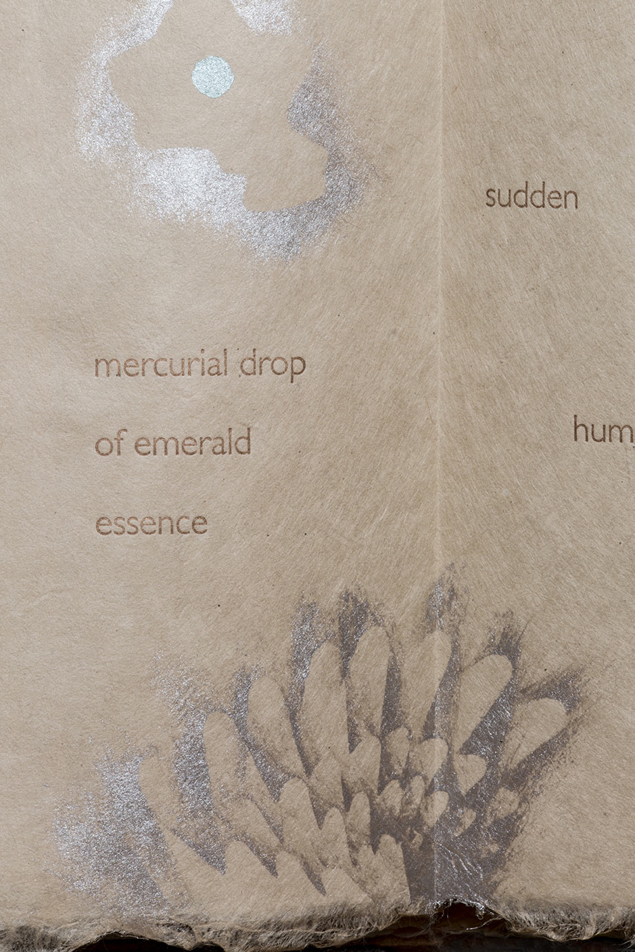 Hummingbird detail.jpg