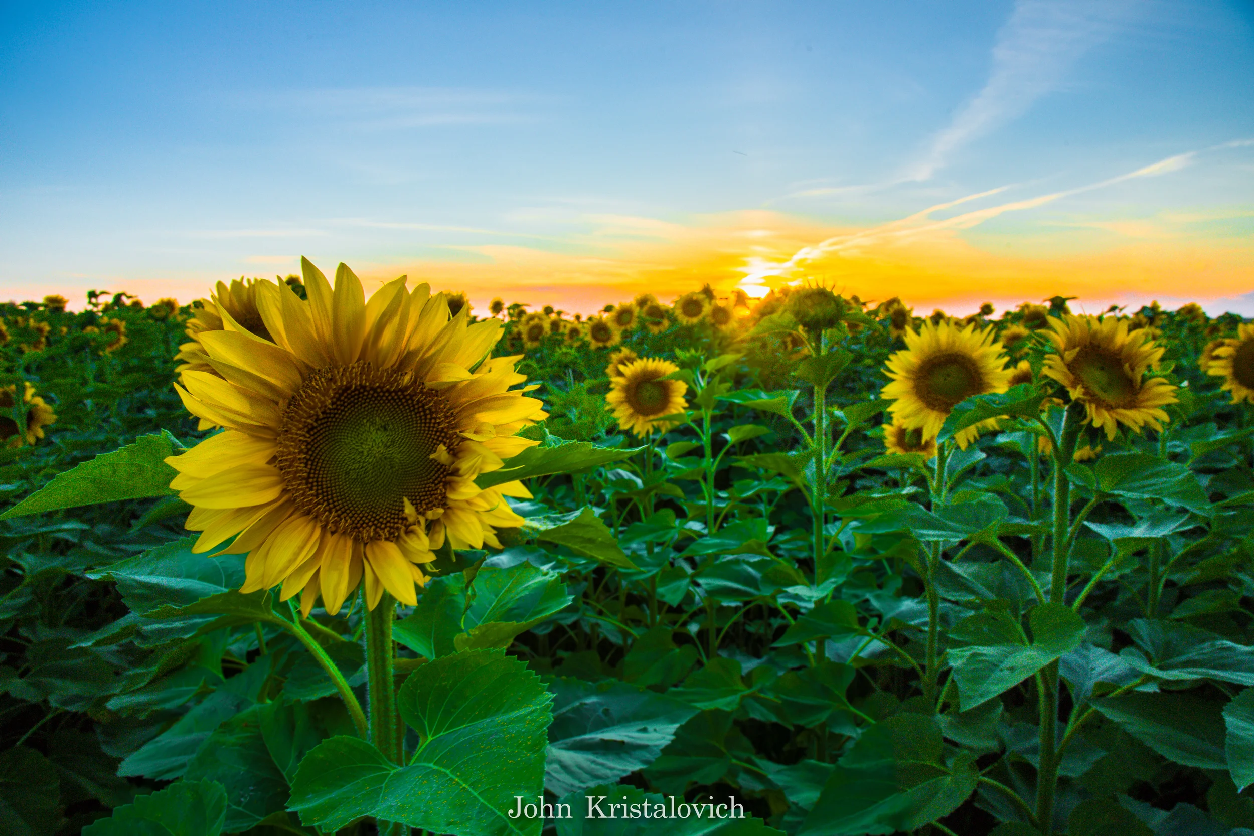 IMG_6509-HDR.jpg