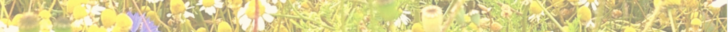 Screen Shot 2019-04-20 at 4.19.01 PM.png