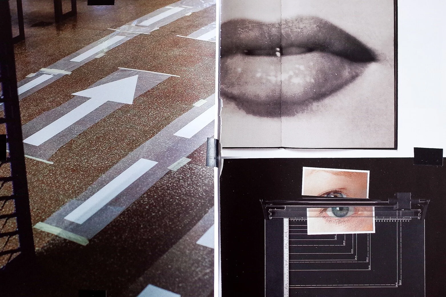 COLLAGE-08.jpg