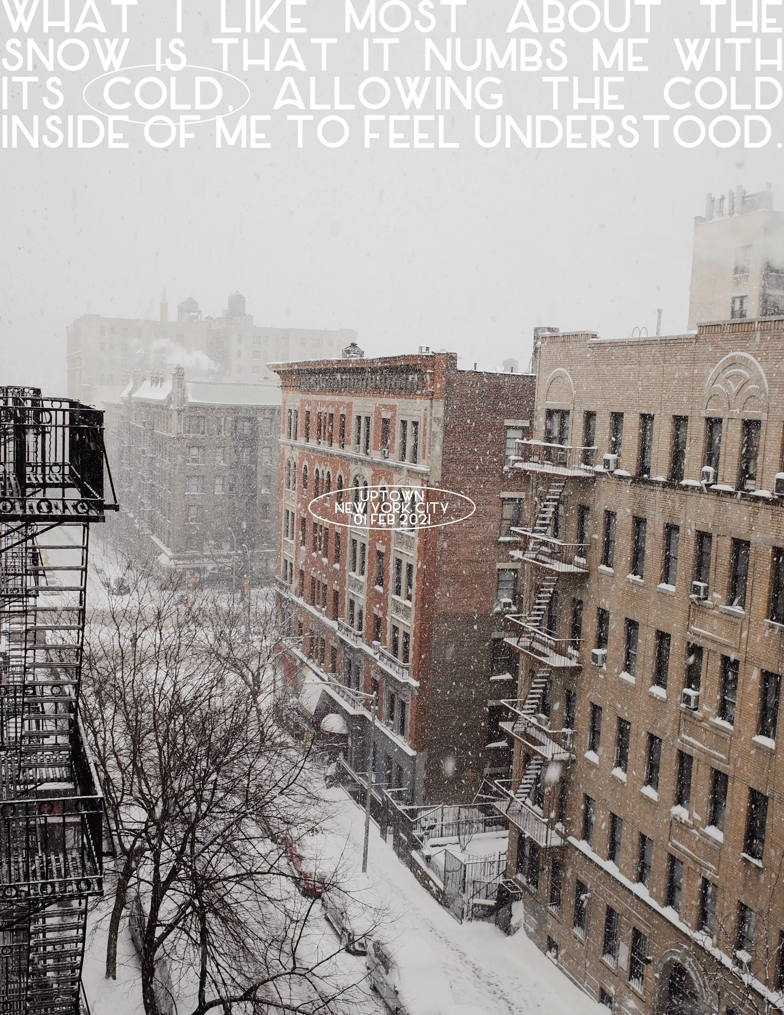 009_cold.jpg