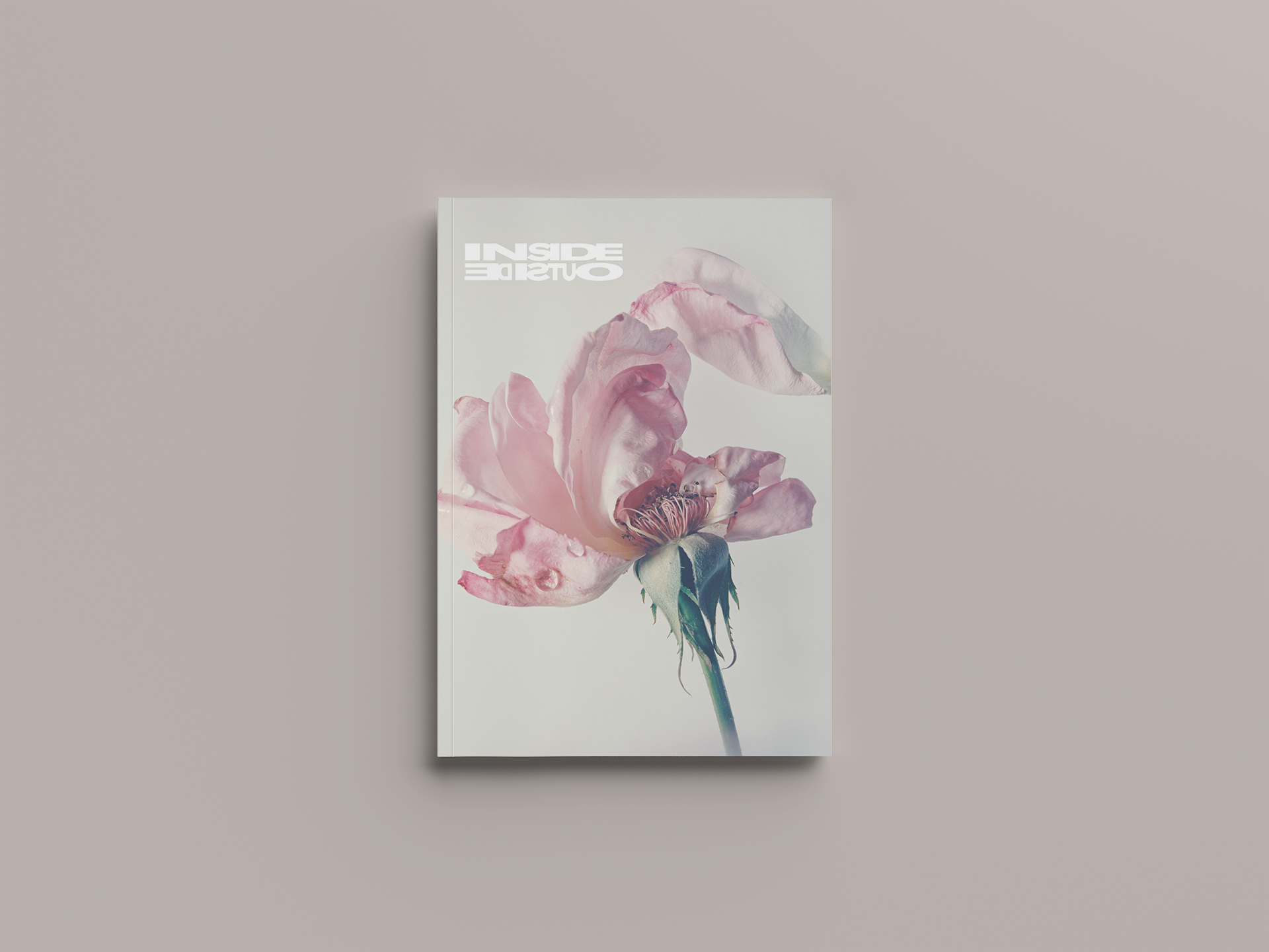   DIGITAL ZINE COVER CLICK TO VIEW FULL  