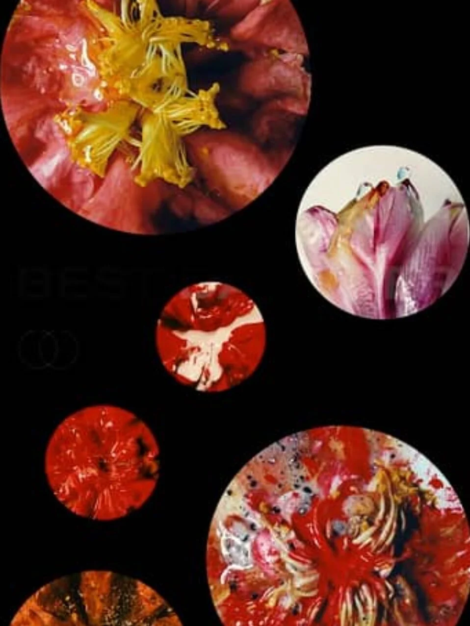 INSIDE|OUTSIDE: Best Day Ever Teaser