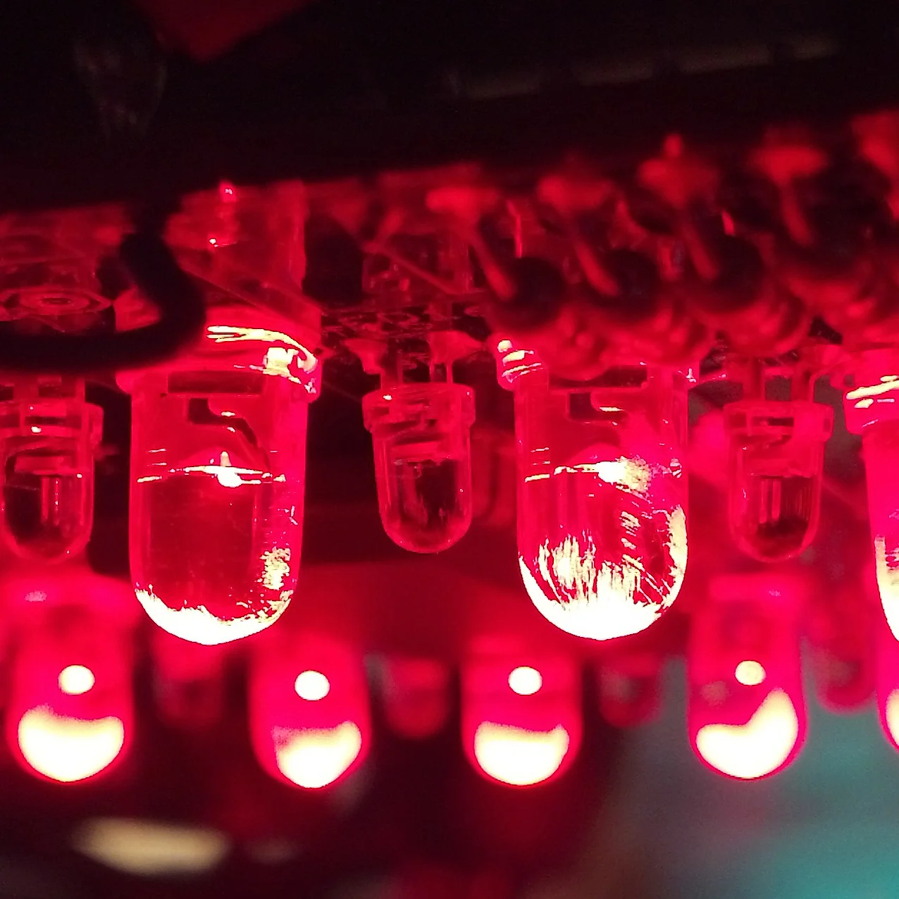 Kiwi Bot Thumbnail.jpg