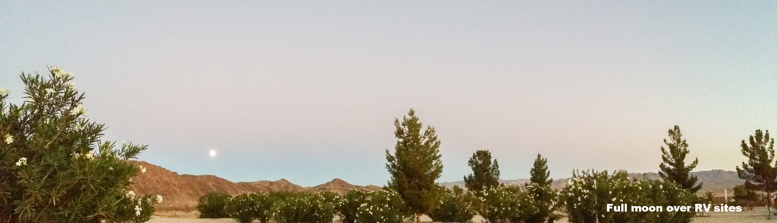 Full moon over RV sites.jpg