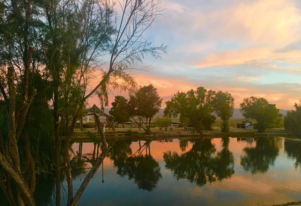 Welcome Joshua Tree Lake Rv And Campground